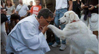 В Италии отец Томаш поцеловал собаке лапу